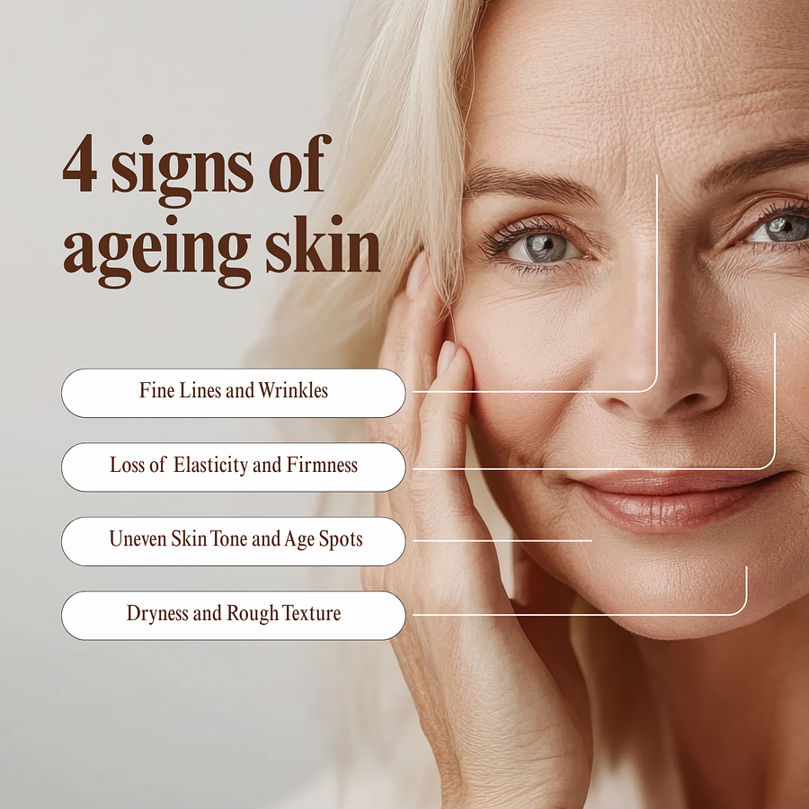 BQYOOM Anti-Aging Cream With Bakuchiol & Gotu Kola - Image 3