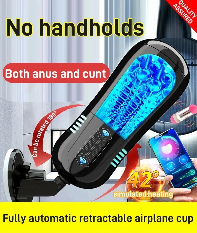 BQYOOM™ Champion Trainer - Image 2